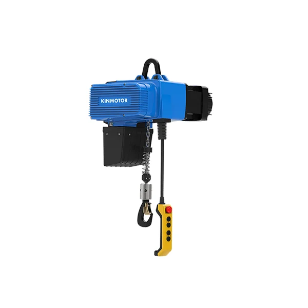 D2 VFD Chain Hoist